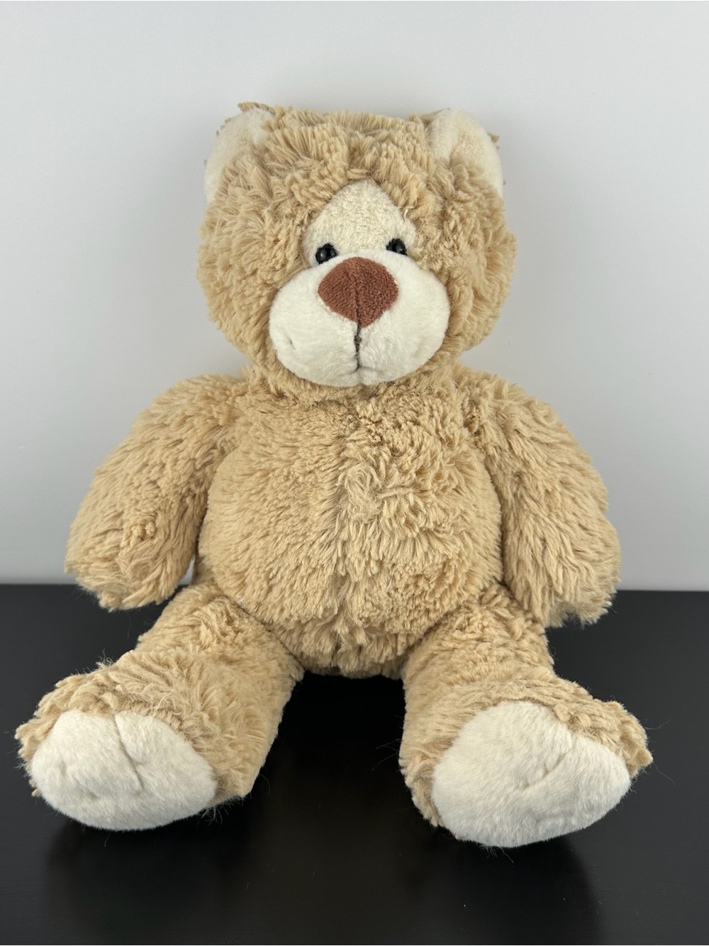 Ganz Rare Wintertime Bear Teddy 12” HX10666 Beige Tan Cream Plush